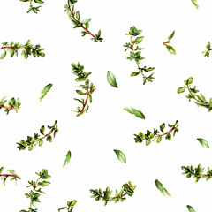 seamless pattern with thyme