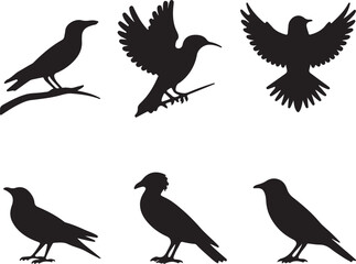 Obraz premium Illustration of six black bird silhouettes in three rows on a light white background. Birds in different postures and styles