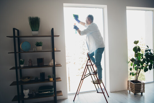 Mature male cleaning the window indoors from a ladder in a sunny living room with plants and shelves, dressed in casual and striped shirt. - Powered by Adobe