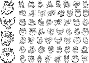 Obraz premium Cute and Decorative Owl Illustrations Collection