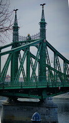 green freedom bridge in the center of budapest on a sunny day