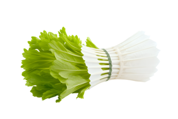 Badminton shuttlecock isolated on PNG transparent background.