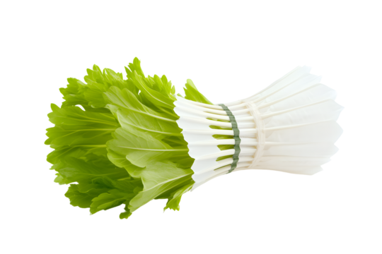 Badminton shuttlecock isolated on PNG transparent background.