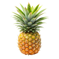 pineapple isolated on white background