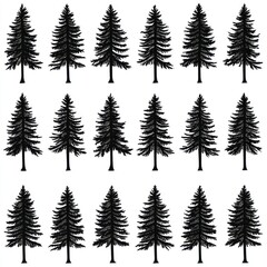 Evergreen Silhouette Collection