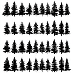 Fototapeta premium Black Silhouette Pine Trees