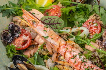 seafood salad di mare. Calamari, shrimp, clams. top view
