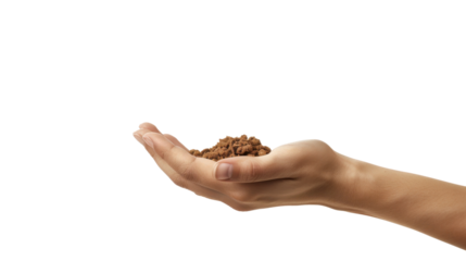 Woman hand holding instant coffee granules on transparent background