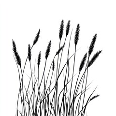 Silhouette Grass