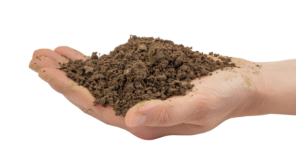 Hand holding soil on transparent background for agriculture and gardening