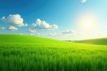 Fototapeta premium Soft puffy clouds drifting across a serene scene of a lush green farm field under the warm sunlight, spring, farm field