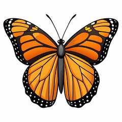 butterfly isolated on white background