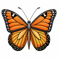 butterfly vector illustration
