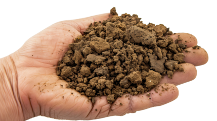 Farmer holding soil in hands: agriculture and farming concept with transparent background