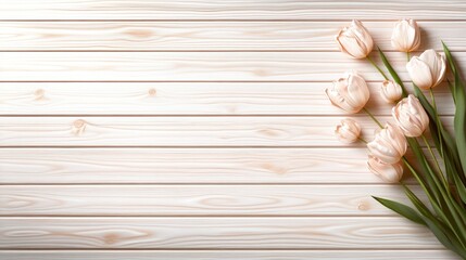 Beautiful pink tulips gently placed on a white wooden background create a peaceful and elegant atmosphere with ample copy space.