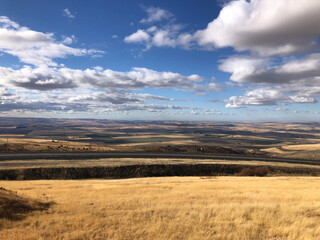 Idaho’s breathtaking landscape with golden fields, rolling hills, and open skies. A peaceful countryside view under a sky filled with fluffy clouds.