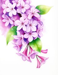 Fototapeta premium Watercolor illustration of purple flowers