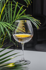 glass of white wine. delicious wine on a background of palm branches