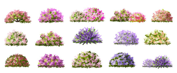 set of flowers, Vector of tree or blooming  side view isolated on white background ,watercolor tree elevation for landscape concept,environment scene,eco design,blossom garden for spring