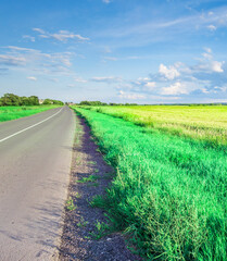 Road with a grassy field on the side