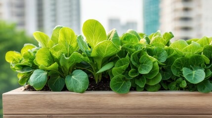 Eco-friendly airport design concepts, Lush Rooftop Garden Featuring Native Plants in a Modern Urban Environment with Accessible Design Elements