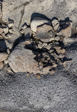 A shallow riverbed with an exposed rocky bottom, a small stream and a flow of water, wild in nature