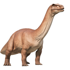 Obraz premium A majestic dinosaur figure captured in a lifelike pose evoking the mysterious era of prehistoric creatures and nature isolated on a white background.