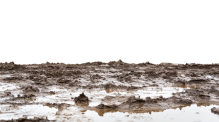Wet mud ground texture with transparent background for compositing