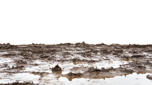 Wet mud ground texture with transparent background for compositing