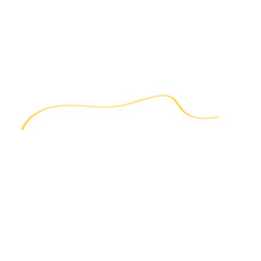 Hand drawn horizontal decorative line