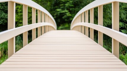 Construction Ash Cement Concept, Architectural Design of a Pedestrian Bridge Constructed with Fly Ash Cement in a Natural Setting