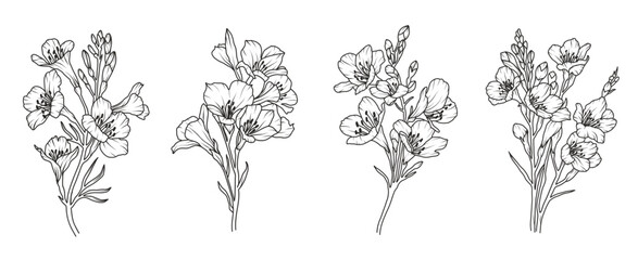 Set of freesia flower line art. Floral logo hand drawn sketch. Wild bouquet abstract elegant spring leaves. Black vintage botanical floral branch. Vector illustration in outline style