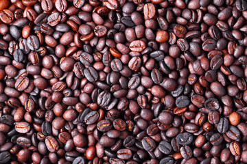 Roasted coffee beans are piled up in the frame.