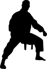 karateka silhouette, vector on white background