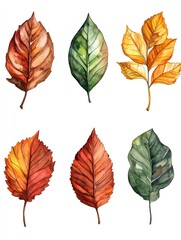 Fototapeta premium Watercolor painting showing six colorful autumn leaves