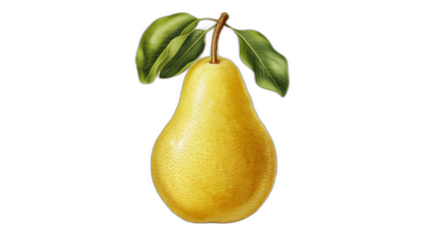 Realistic illustration of a fresh, ripe pear, emphasizing its smooth texture and vibrant color, against a clean white background for a fresh and minimalistic aesthetic.