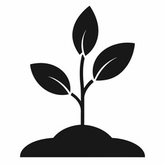 tree with green leaves