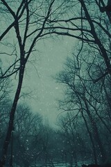 Obraz premium The resilient trees in the park during the cold season