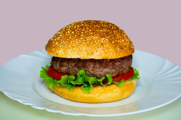 Juicy beef burger with fresh lettuce and tomatoes on a plate