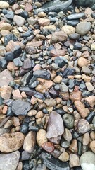 Natural Beach Stones Background with Various Colors and Shapes