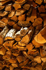Wood Pile