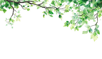 green tree with a transparent background, in the PNG