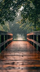 Obraz premium Wooden bridge into misty trees, rain glistening. Peaceful, calming nature scene