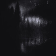 Dark scary forest, gloomy landscape