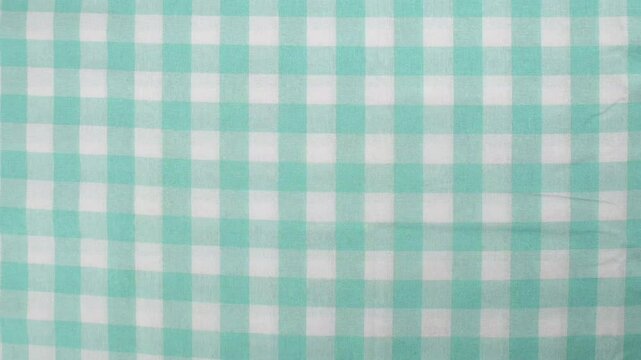 Widescreen Gingham Spring Flowers Animation