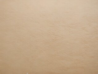 Obraz premium brown Old paper texture background