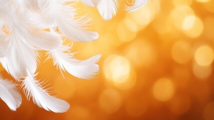 Obraz premium Soft White Feathers With Golden Bokeh Backdrop Image.