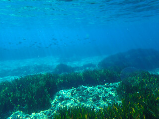 Dark blue ocean surface seen from underwater. Abstract waves underwater and rays of sunlight...