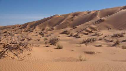 Tall sand dunes around a valley in the Sahara Desert, outside of Douz, Tunisia