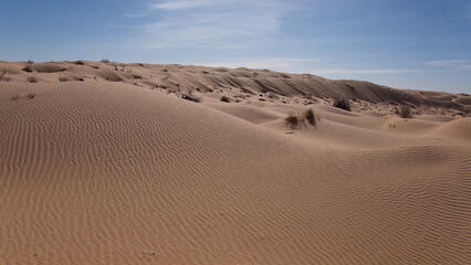 Rolling sand dunes in the Sahara Desert, outside of Douz, Tunisia